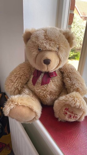 Official hamleys 250th - official,