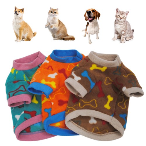 Pet dog warm - pet,