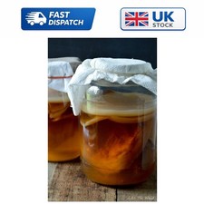3L Organic SCOBY Kombucha