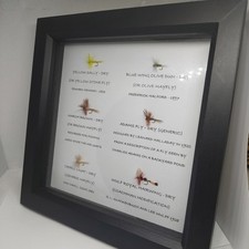 Trad' Trout Dry Fly Picture. Real Trout flies in a 1" deep Black Pine box frame.