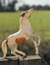 San Domingo Breyer Semi