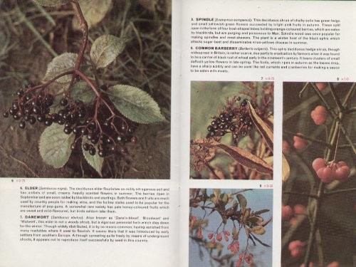 Wild fruits and - and, berries