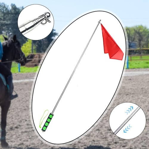 Equestrian training flag horse - training,