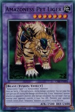 CIBR-EN094 AMAZONESS PET LIGER COMMON 1ST EDITION YuGiOh CARD
