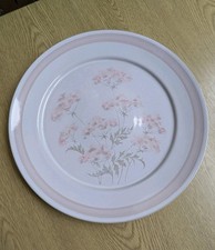 Denby Brittany dinner plates