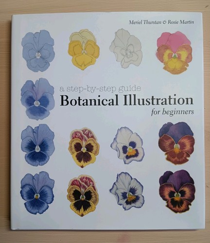 Botanical illustration for - botanical,
