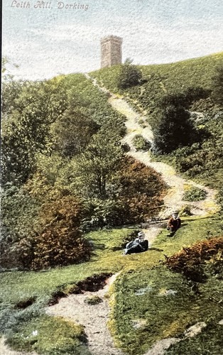 Leith hill footpath - leith, to
