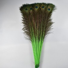 Long Colourful Peacock Eye Feathers 28 - 32 Inches Craft Home Decorations Art UK