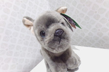 BNWT Living Nature grey brown