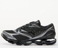 Mizuno wave prophecy - wave,