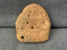 Fossil Whale Bone Section