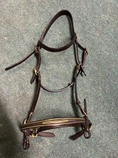 In Hand Bridle