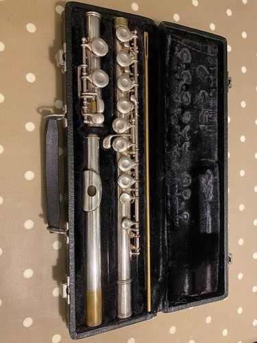 Buffet crampon silver evette - silver,