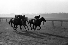 Mill Reef, right, having his