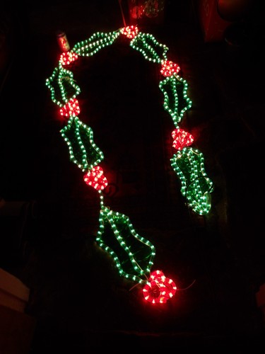 Section holly berry led - section, rope