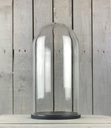 Large glass dome - dome, cloche