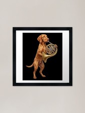 Vizsla Playing French Horn