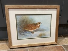 Watercolour painting, QUAIL Signed and dated 2001, COLIN TURTON