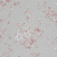 French Faded Rose 'Zen' Coral