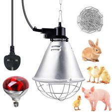 Infrared Radiant Heat Lamp &