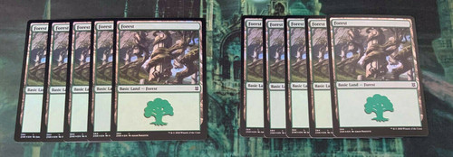 Mtg 10x foil forest - 10x, land