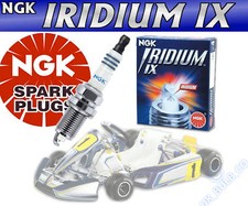 NGK IRIDIUM SPARK PLUG Briggs