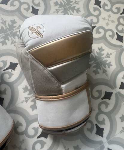 Hayabusa tokushu oz - 14,