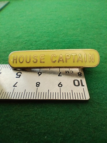 Vintage school house captain - school,