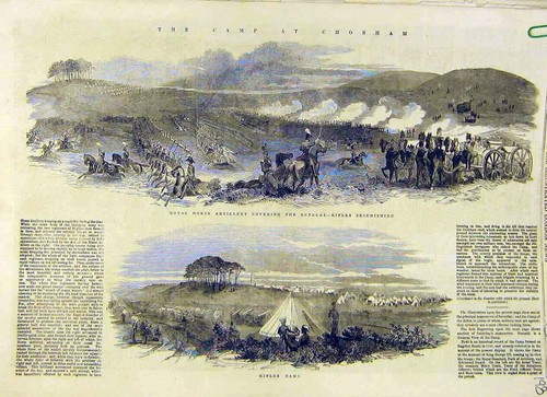 Old antique print - antique, horse