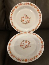 Arcopal Scania Small Dinner