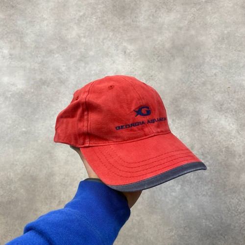 Georgia aquarium baseball cap - georgia,