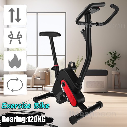 Exercise bike fitness - exercise,