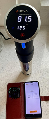 Anova sous vide - 2.1,