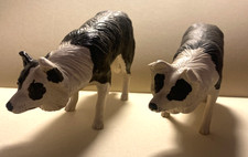 Sheepdog/ Border Collie at