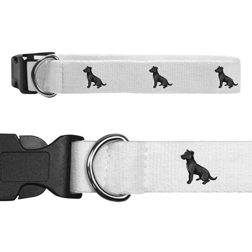 Patterdale terrier dog - terrier',