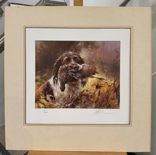Mick cawston springer - mick,