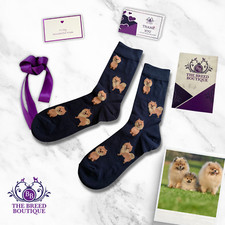 POMERANIAN DOG FUN SOCKS