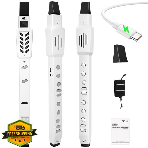 Electric saxophone wind - ex,