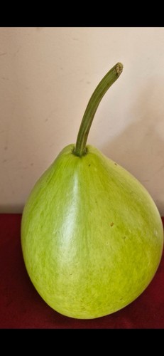Organic fresh home grown - home,