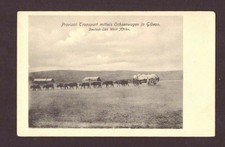 Postcard of German South West: Transport by oxcart in Gibeon