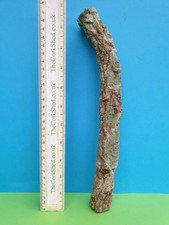 CORK BARK BRANCH 29CM LEOPARD