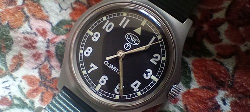 Cwc g10 gulf war - cwc,
