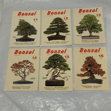 Vintage Bonsai Today Magazine