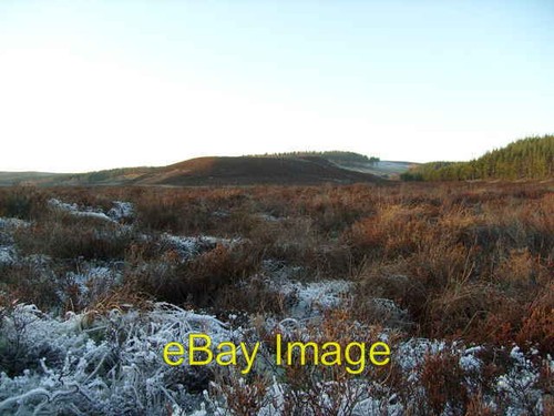 Photo 6x4 shian tulisk - photo,