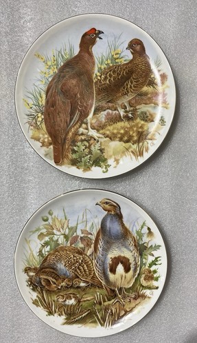 Fine bone china - china, 2