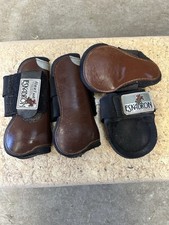 Eskadron Tendon and Fetlock
