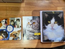 RSPCA Battersea Cats