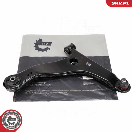 69skv006 esen skv - esen,