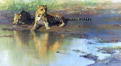 David shepherd cool - shepherd, "cool