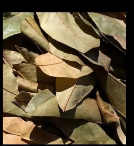 Organic dried soursop - organic,